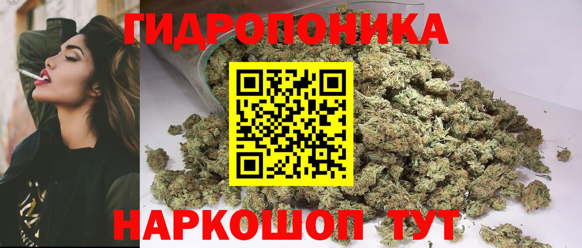 НБОМе Курчалой